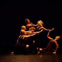 Adult Dancers Wanted! Join The Dance Collective